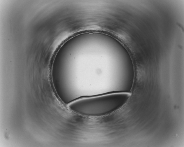 X0000103271326200808291231