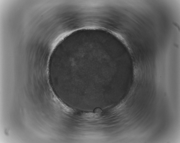 X0000103271327200808291231