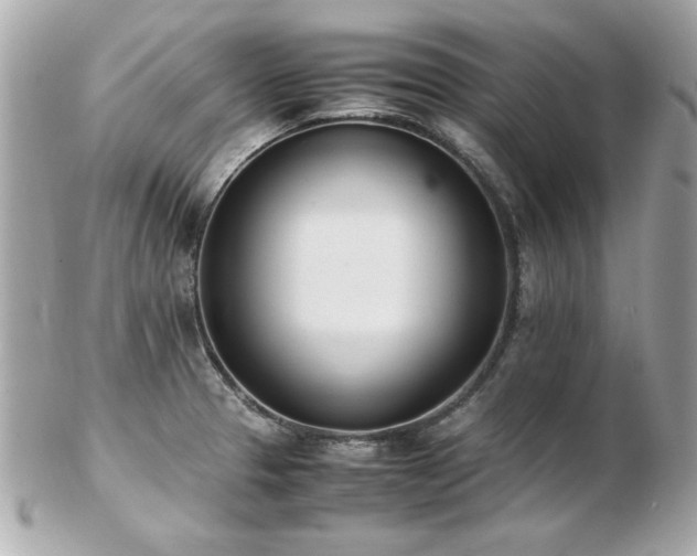 X0000103271329200808291231