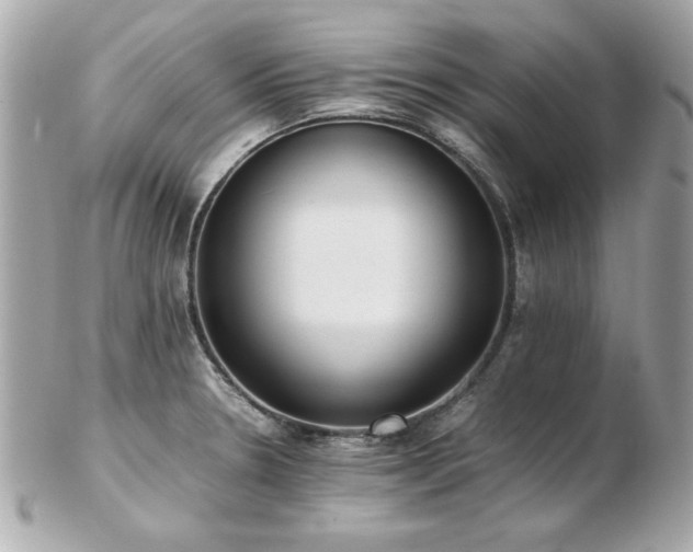 X0000103271330200808291231