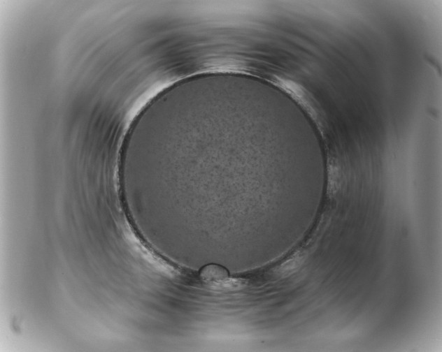 X0000103271331200808291231