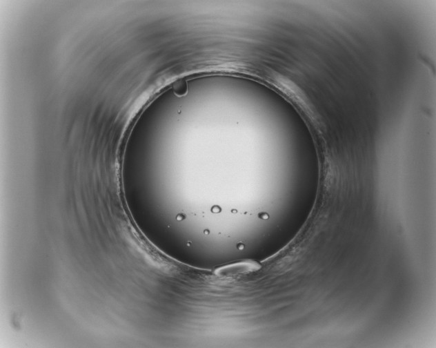 X0000103271332200808291231