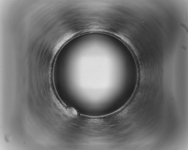 X0000103271333200808291231