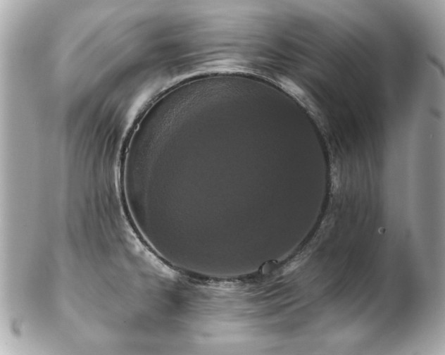 X0000103271334200808291231