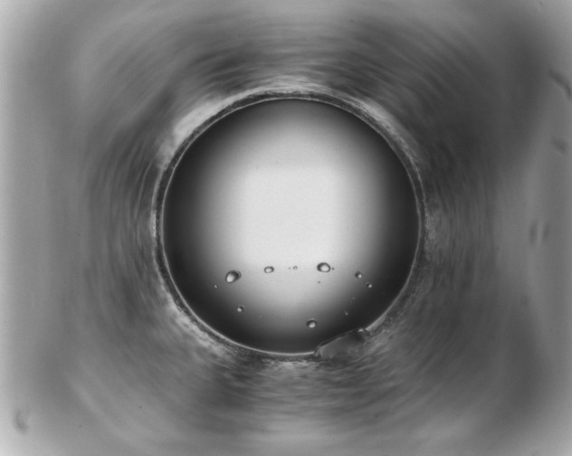 X0000103271335200808291231