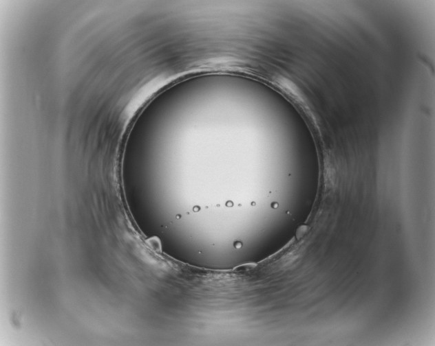 X0000103271336200808291231