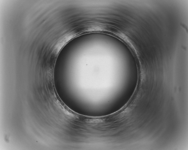 X0000103271337200808291231