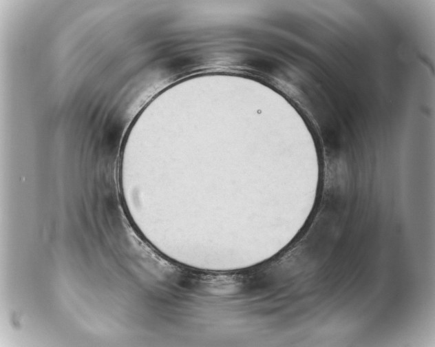 X0000103271338200808291231