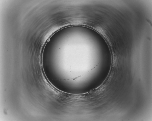 X0000103271342200808291231