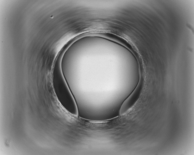 X0000103271344200808291231