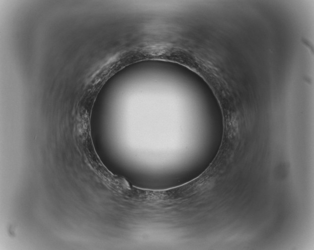 X0000103271349200808291231