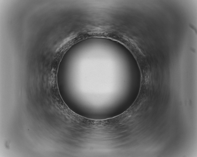 X0000103271350200808291231