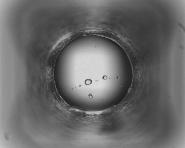 X0000103271351200808291231