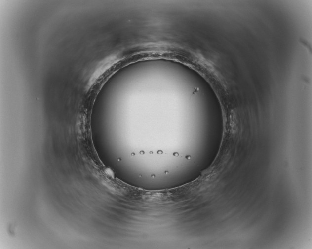 X0000103271352200808291231