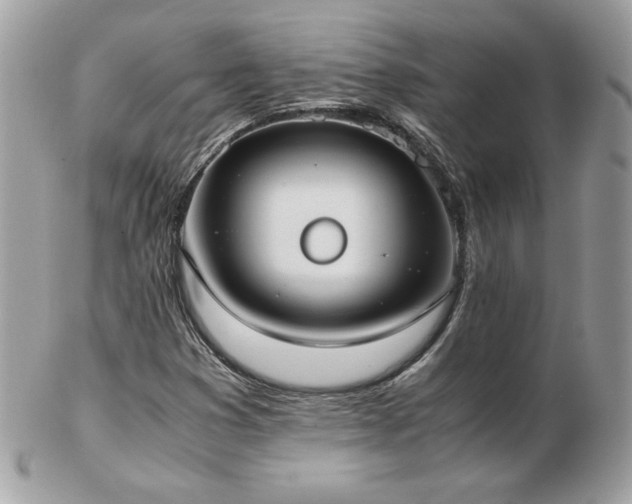 X0000103271353200808291231