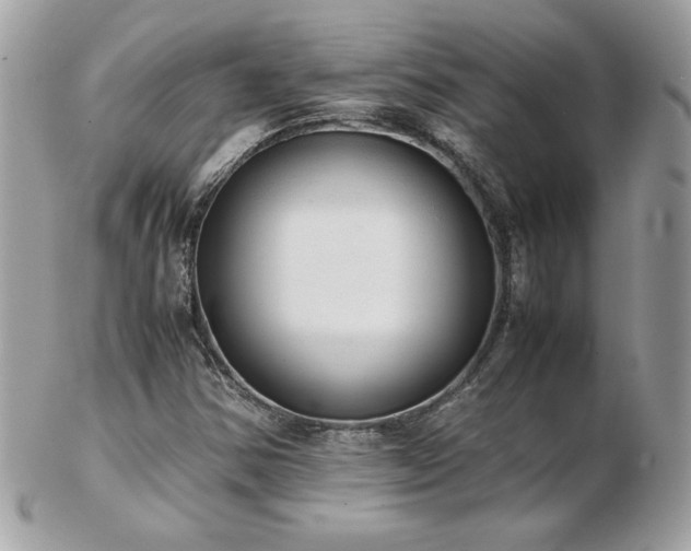 X0000103271354200808291231