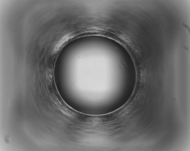 X0000103271355200808291230