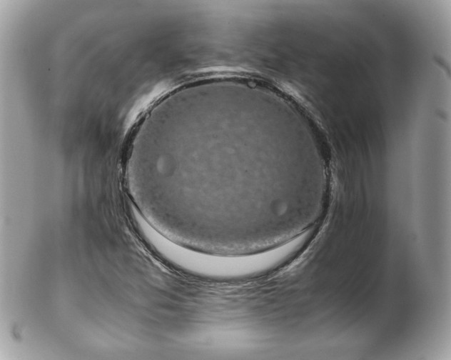 X0000103271357200808291230