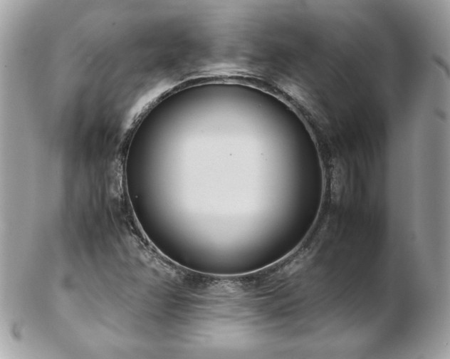 X0000103271358200808291230