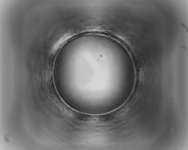 X0000103271359200808291230