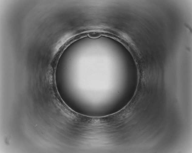 X0000103271360200808291230