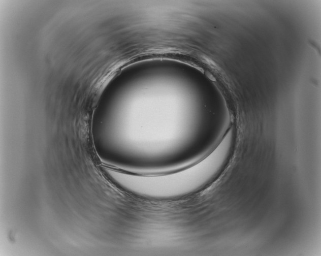 X0000103271361200808291230