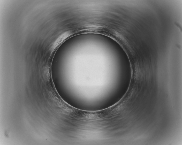 X0000103271362200808291230