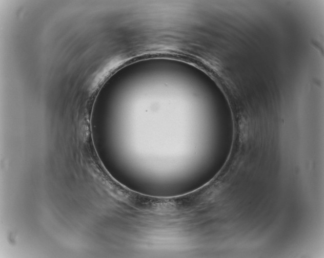 X0000103271363200808291230