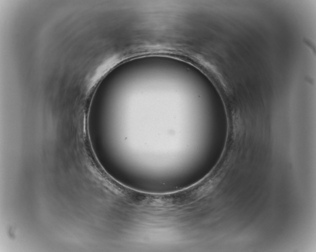 X0000103271365200808291230