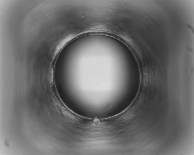 X0000103271366200808291230