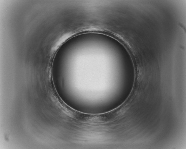 X0000103271367200808291230