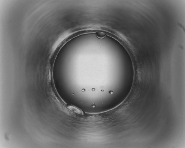 X0000103271368200808291230