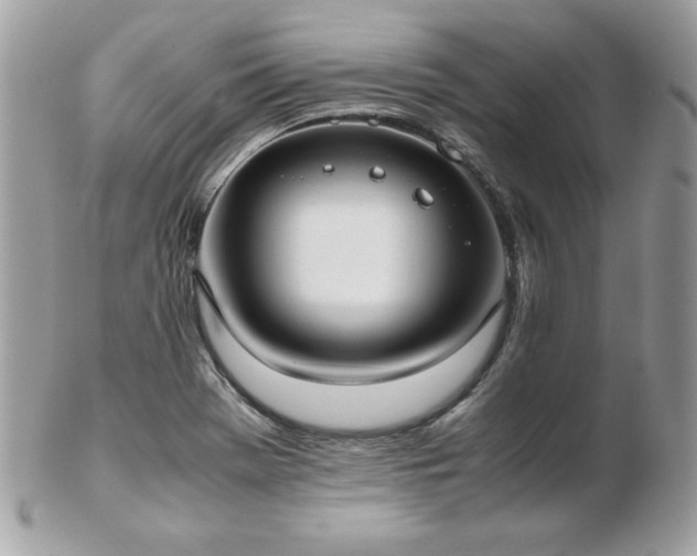 X0000103271369200808291230