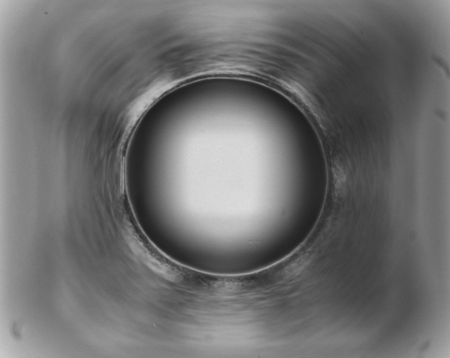 X0000103271371200808291230