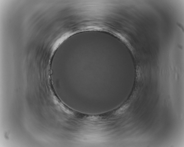 X0000103271373200808291230