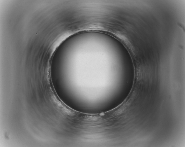 X0000103271374200808291230