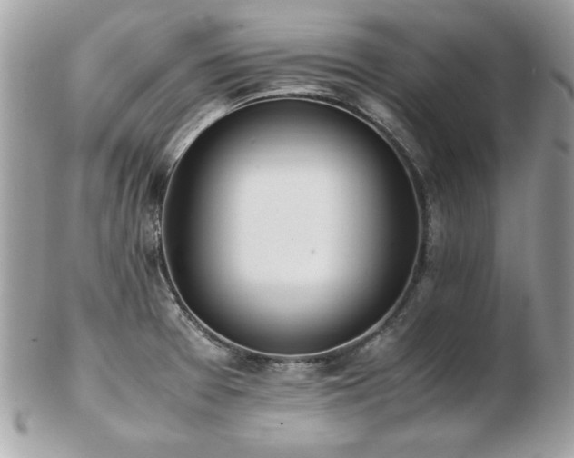 X0000103271377200808291230