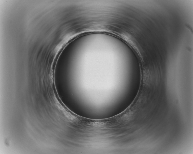 X0000103271380200808291230