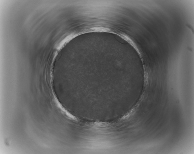 X0000103271381200808291230