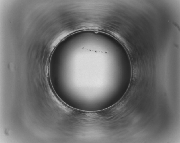 X0000103271383200808291230