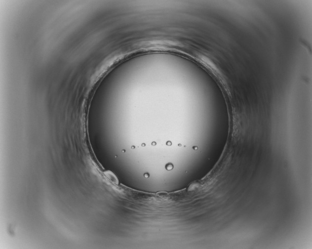 X0000103271384200808291230