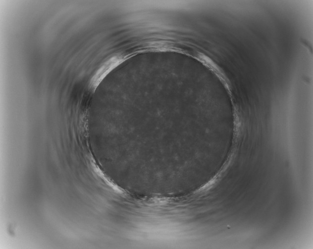 X0000103271385200808291230