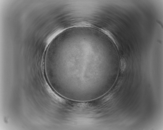 X0000103271387200808291230