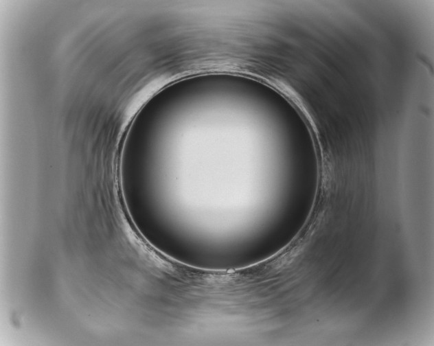 X0000103271389200808291230