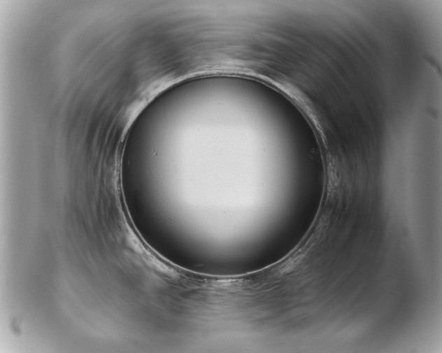 X0000103271390200808291230