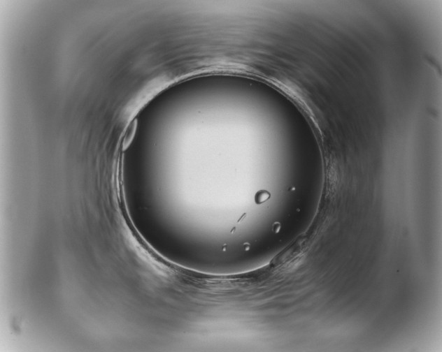 X0000103271391200808291230