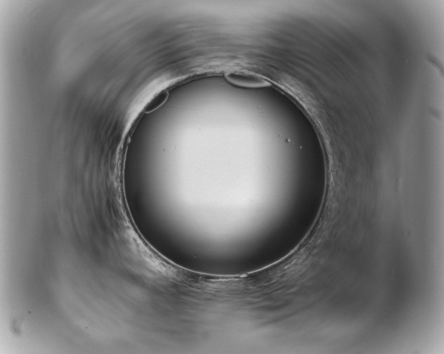 X0000103271392200808291230