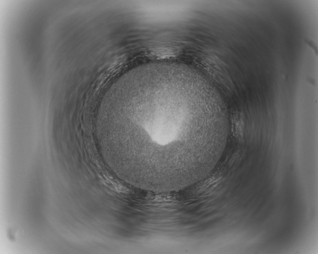 X0000103271393200808291229