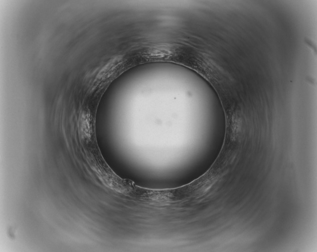 X0000103271394200808291229