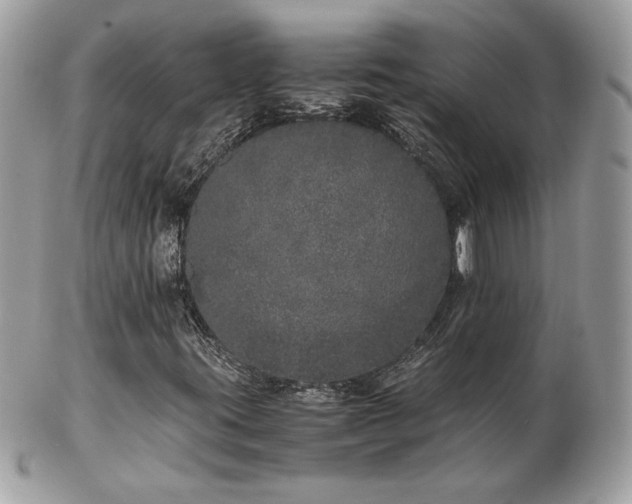 X0000103271395200808291229